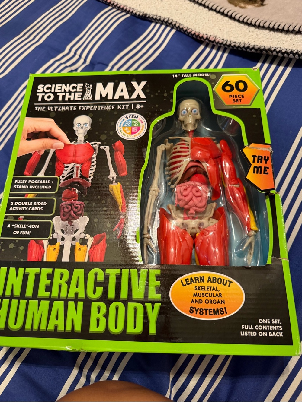To the Max Interactive Human Body Toy - Red, Pink, Yellow, White, Black